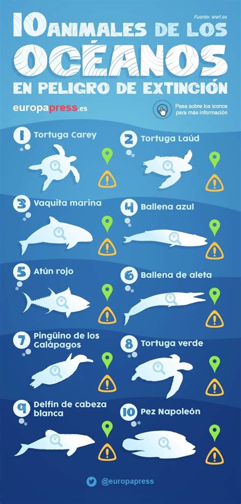 Día Mundial De Los Océanos 10 Animales Marinos En Peligro De Extinción