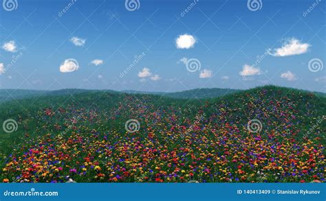 Flower Hills Spring Landscape Of Flowers Flower Meadow On The