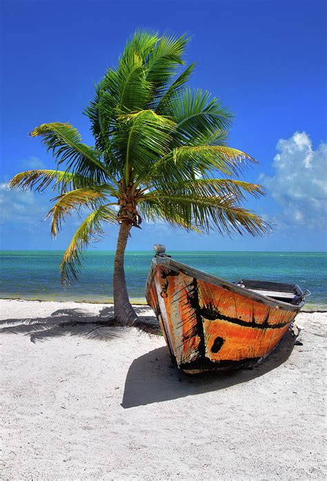 Small Boat And Palm Tree On White Sandy Beach In The Florida Keys