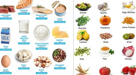 Foods And Functionality Of High Protein Diet For Weight Loss Healthcare