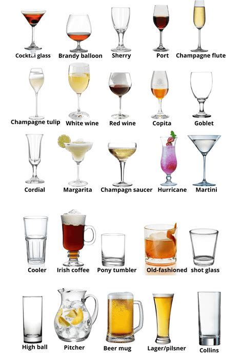 Different Types Of Glassware Used In Food And Beverage Service Food And Beverage Service
