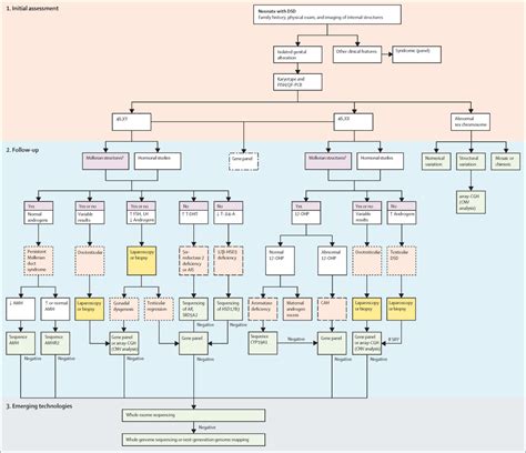 a clinical algorithm to diagnose differences of sex development the free nude porn photos