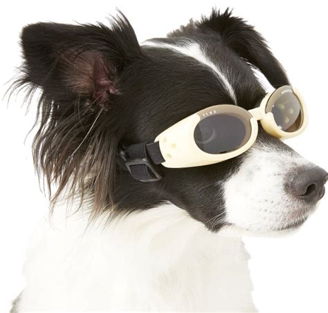 Doggles Ils Dog Goggles Chrome Small