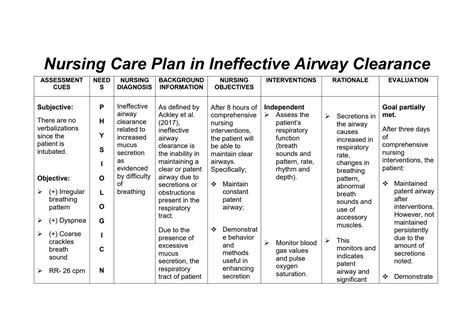 solution nursing care plan ineffective airway clearance related to increased mucus secretions