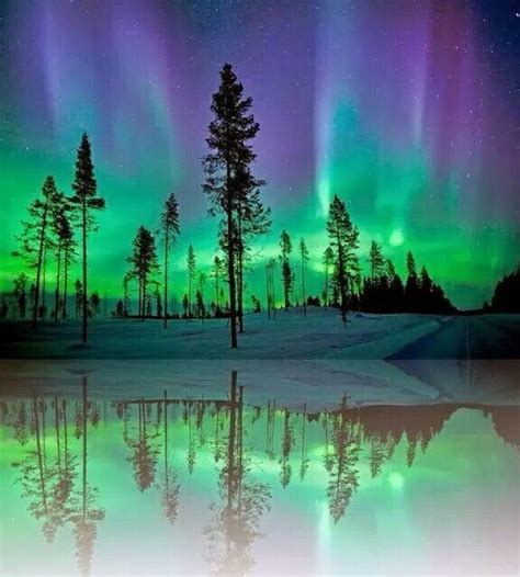I Wish I Could See This Alaska Northern Lights