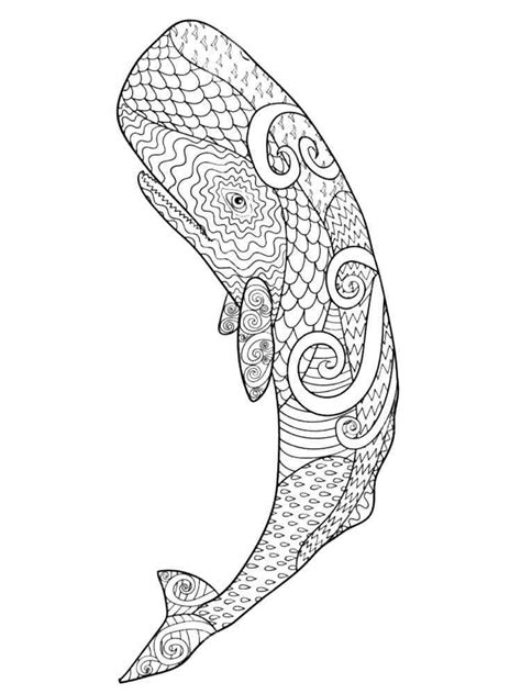 Whale Coloring Pages For Adults