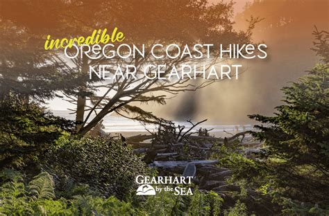 Our Top Five Of The Best Oregon Coast Hikes Near Gearhart