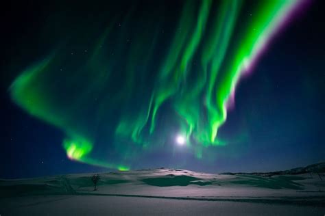 Caza de Auroras - Northern Lights Chase in Spanish | Visit Tromso