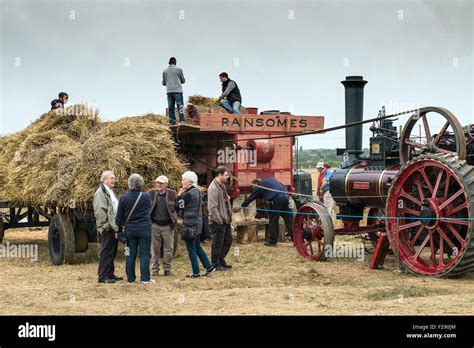 A Vintage Ransomes Threshing Machine At The Essex Country Show