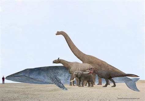 Largest Animals Through The Ages Large Animals Animals Prehistoric