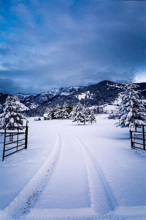 Royalty Free Photo Snow Covered Trees Near Mountain Under Blue Sky