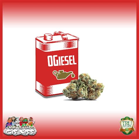 Ogiesel By Tru Infusion Hippy Life Entertainment