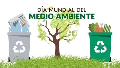 5 de junio dia mundial del medio ambiente colegio montessori temuco images