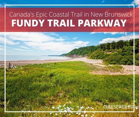 The Fundy Trail Parkway Discovering New Brunswick Canadas Epic