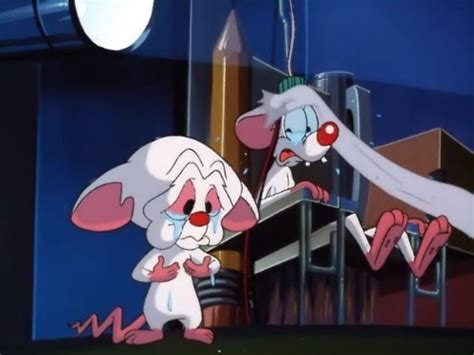 Watch Steven Spielberg Presents Pinky And The Brain The Complete First Volume Prime Video