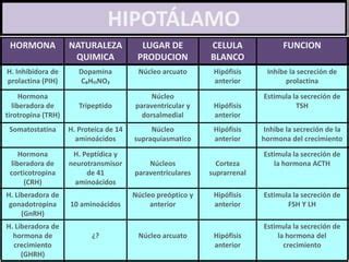 Cuadro De Hormonas Hipotalamicas E Hipofisiarias Ppt