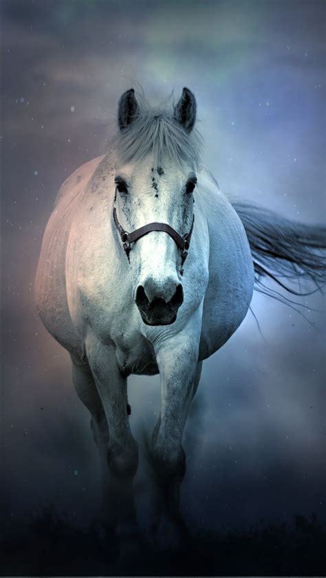 White Horse 4k 8k Wallpapers Hd Wallpapers Id 28867