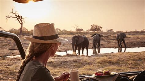 First Timers Guide Step By Step To Planning Your Tanzania Safari