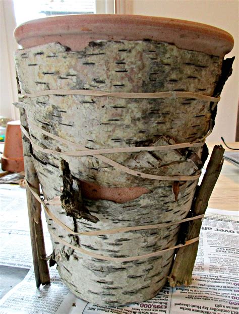 How To Make Birch Bark Covered Flowerpots Craft Invaders