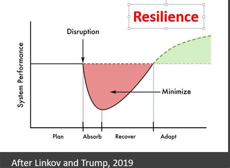 Resilience New Approaches For Economic Challenges