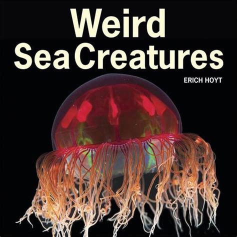 Weird Sea Creatures By Erich Hoyt English Paperback Book Free