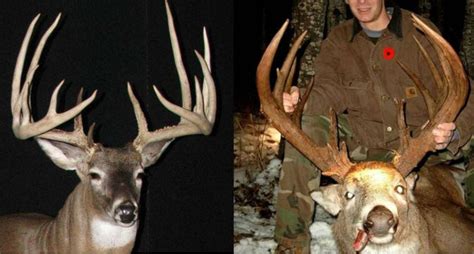 12 Of The Biggest Poached Deer Ever Stolen From Law