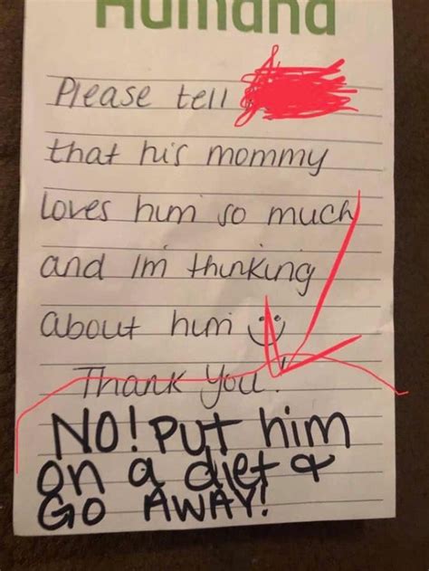 mom horrified after teacher fat shames son on lunchbox note laptrinhx news