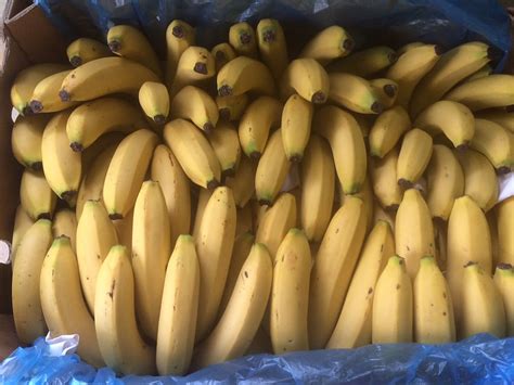 Bananas Cavendish 1kg Certified Organic The Organic Collective