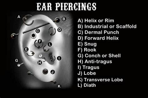 Ear Piercing Everything You Wish To Know Ear Piercings Chart Types