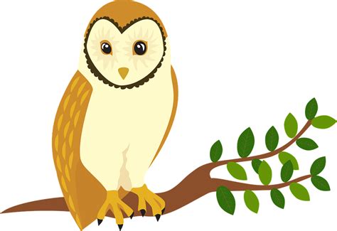 Owl Forest Animal · Free Vector Graphic On Pixabay