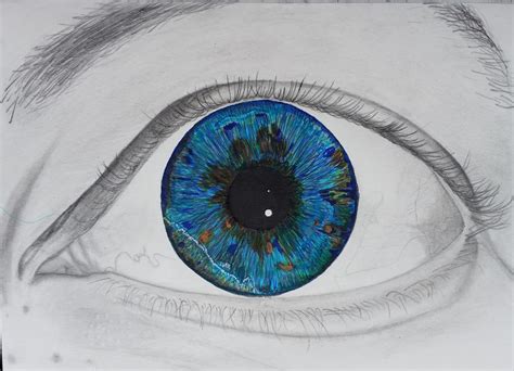 Eye Drawing 5 My Coloured Iris By Keetek On Deviantart