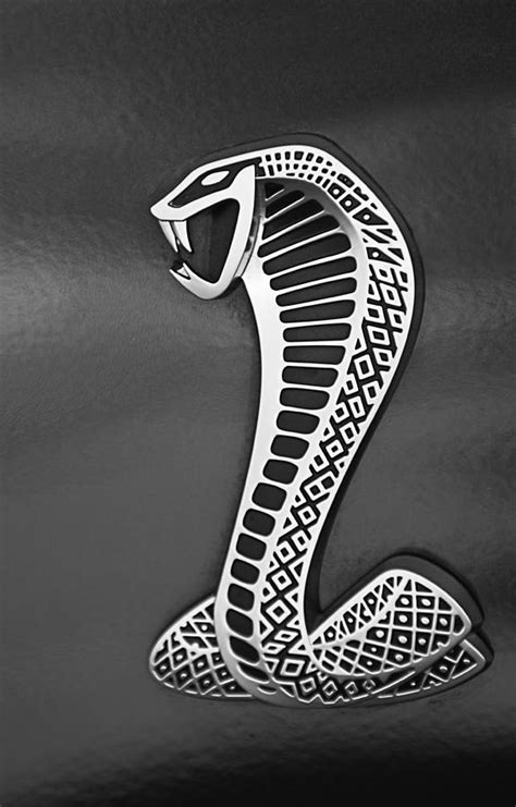 Cobra Emblem Photograph By Jill Reger