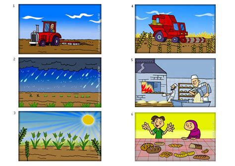 La educación primaria en españa es lo que todo el mundo conoce por el colegio. Imagen proceso de elaboración del pan - Imágenes Para ...