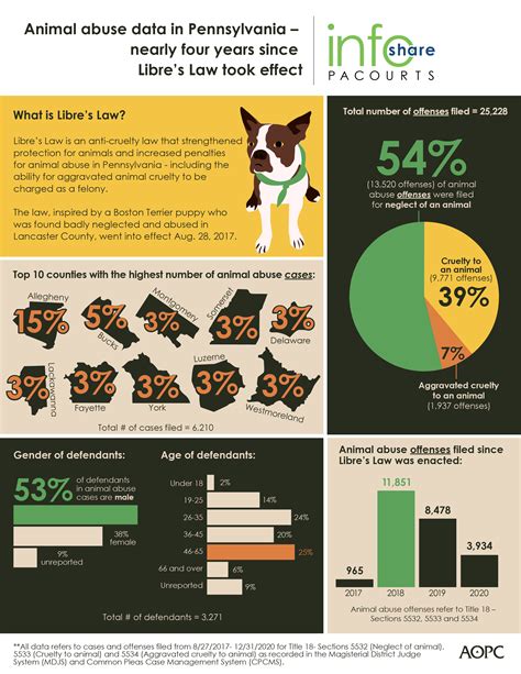 How Prevalent Is Animal Abuse In Pennsylvania News News