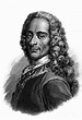 Portrait of Voltaire, engraving Drawing by French School - Pixels