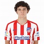 Sergio Camello - Stats, Over-All Performance in Atletico Madrid ...