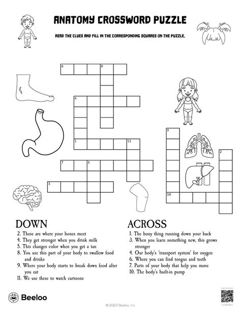 Anatomy Crossword Puzzle Beeloo Printable Crafts And Activities For Kids