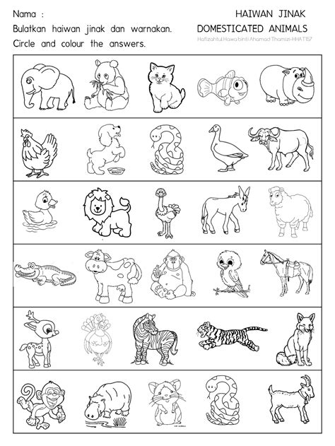 Haiwan Liar Prasekolah Mewarna Gambar Haiwan Haiwan Liar Coloring Book Ini Comel Muka Surat