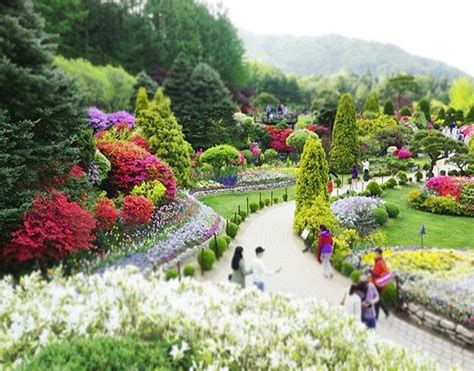 Nami Island Petite France Garden Of Morning Calm Package Funtastickorea