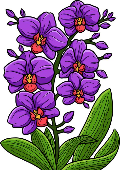 Orchid Flower Cartoon Colored Clipart Illustration 8822468 Vector Art