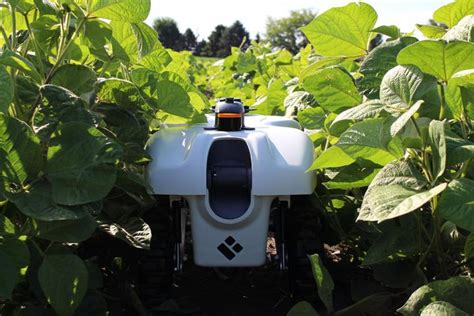 Vision For Ultra Precision Ag Machine Learning Plant Sensing Robots