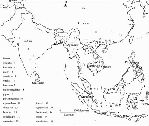 Printable Map Asia With Countries And Capitals Noavg Outline Of Printable Map Of Asia