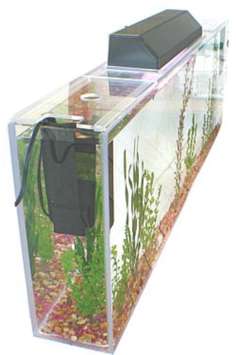 A Guide To Wall Mounted And In Wall Fish Tanks Hubpages