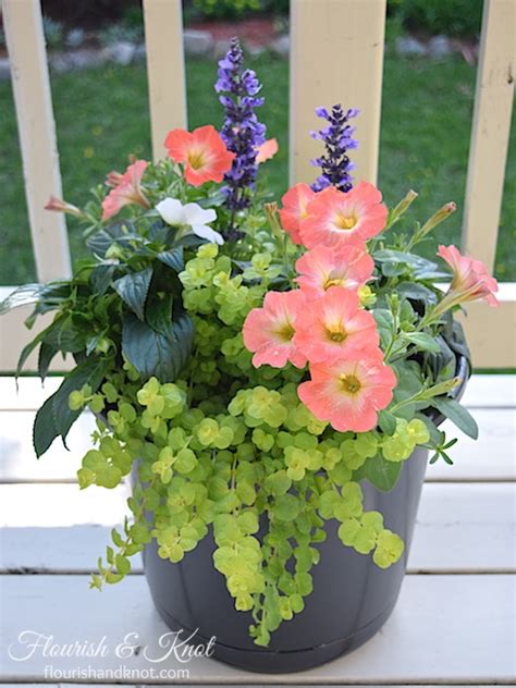 10 Beautiful Container Garden Ideas Life With Lorelai