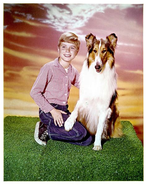 Lassie Where Is Timmy Martin Now