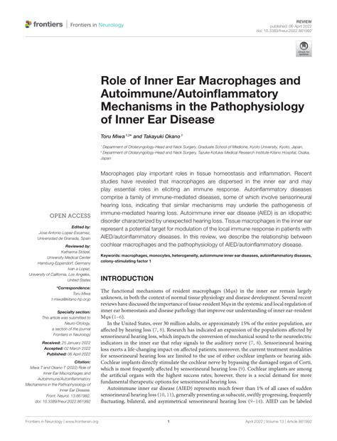 Pdf Role Of Inner Ear Macrophages And Autoimmuneautoinflammatory
