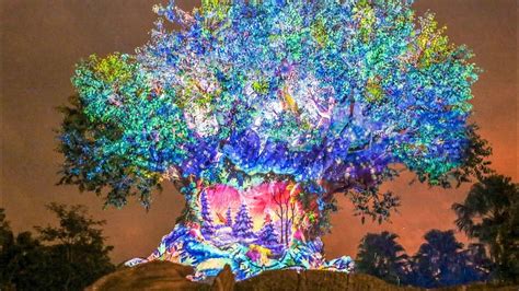New Christmas Tree Of Life Awakenings At Disneys Animal Kingdom 2019