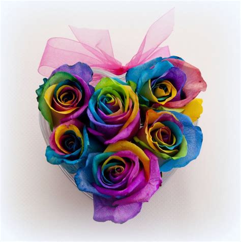 Rainbowroses Home Buy Rainbow Roses Rainbow Rose Buds