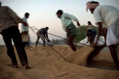 After Farmers Commit Suicide Debts Fall On Families In India The New