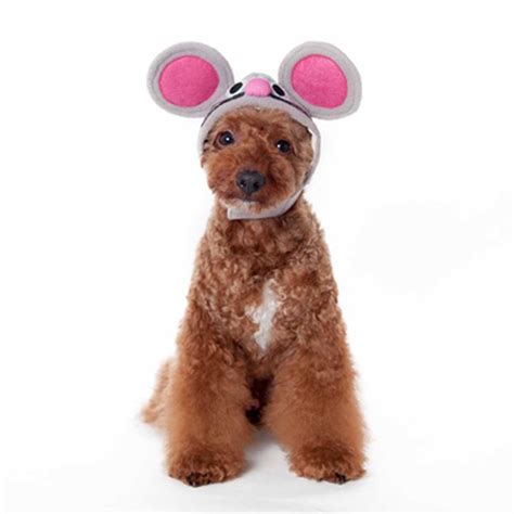 Mouse Dog Hat By Dogo With Same Day Shipping Baxterboo